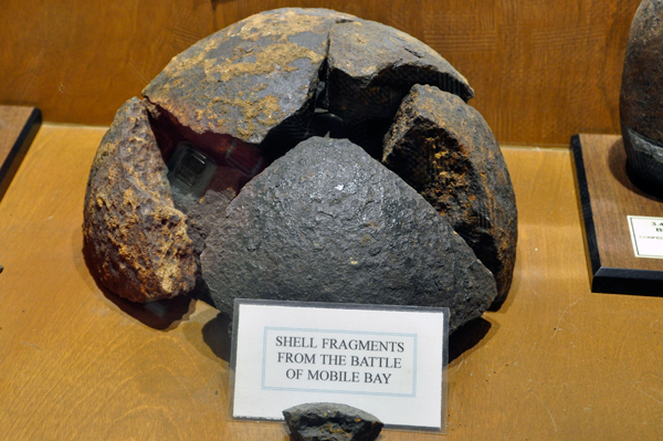 shell fragments